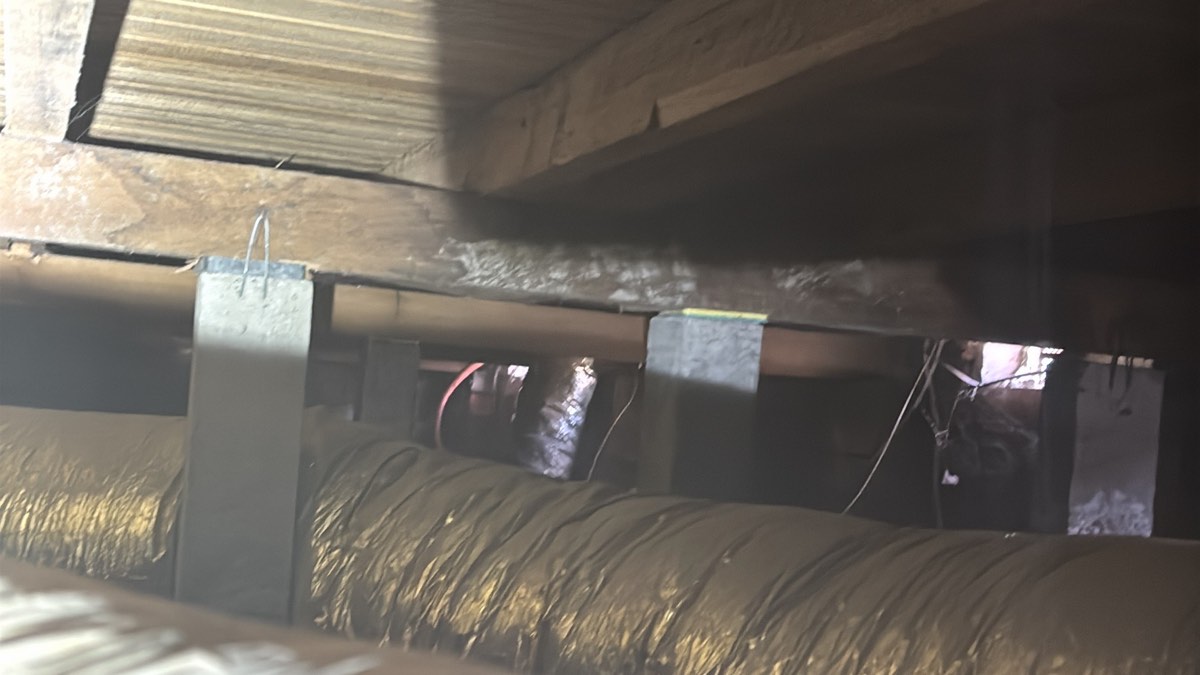 Building and Pest Inspections in Craigieburn