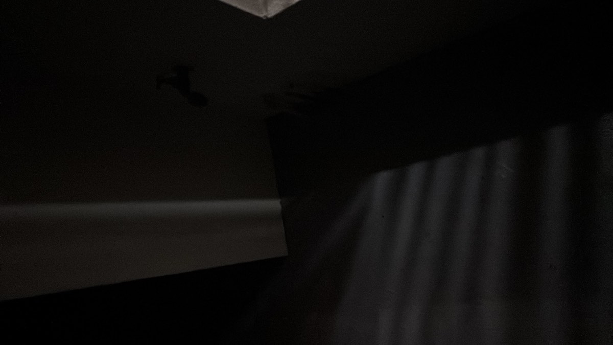 Conducive conditions recorded during a building and pest inspection in Craigieburn