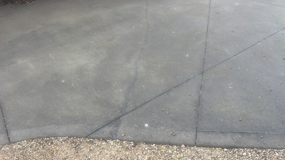 Dilapidation Reports in Craigieburn