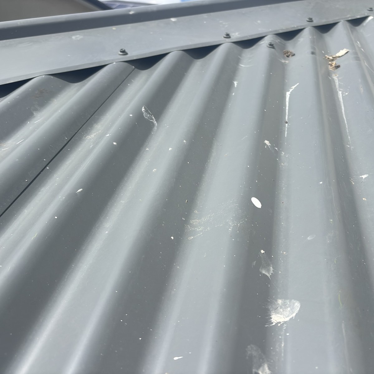 Additional damaged roof cladding, recorded during a pre-handover inspection in Craigieburn
