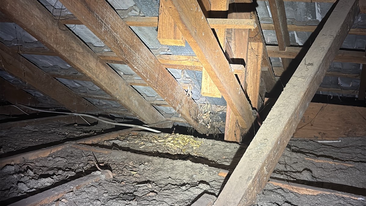 What the roof space remembers