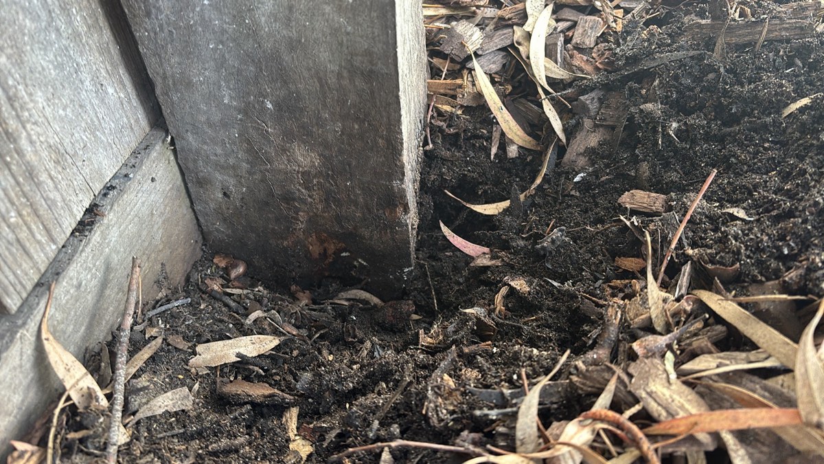 Structure unstable and out of line, Craigieburn